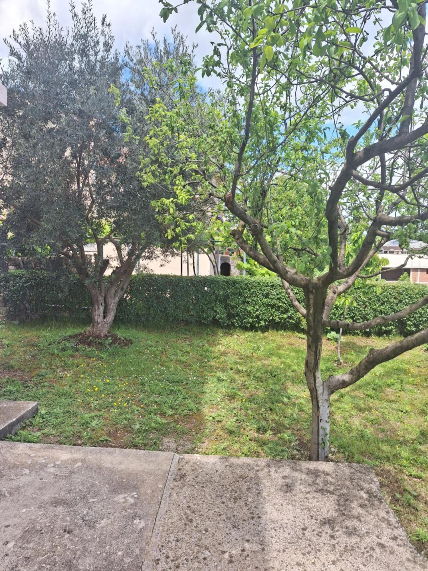 Apartmani Ruza Podgorica Esterno foto